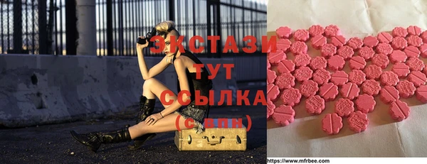 ECSTASY Богородицк